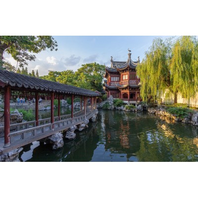 新盛公司怎么注册会员如官网xs9563.com